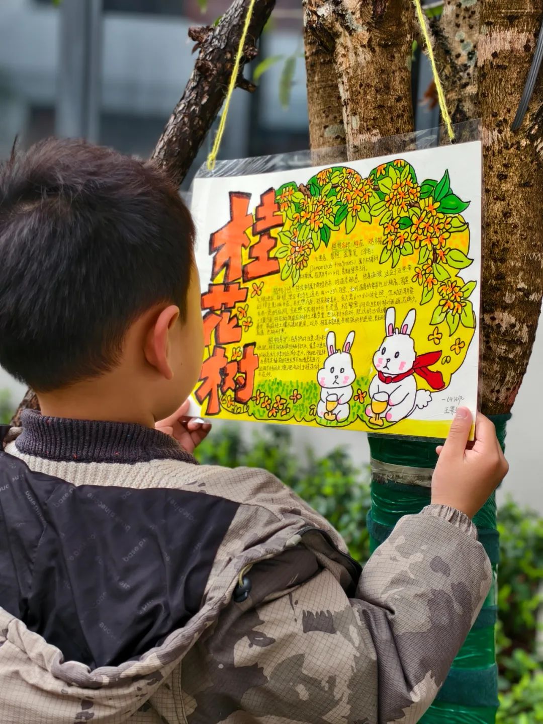圖片