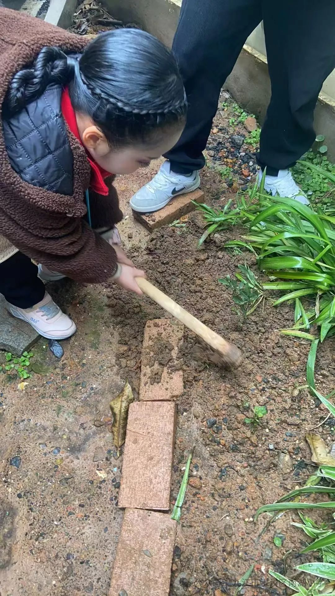 圖片