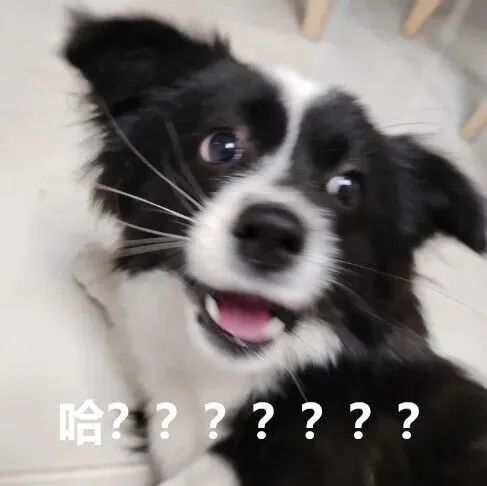 微信图片_20240128114240.jpg