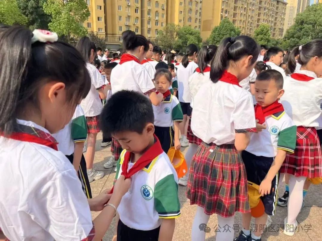 微信图片_20250526154919.jpg