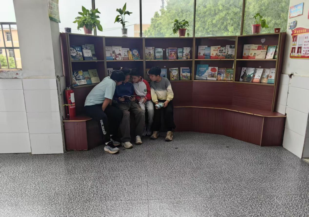 图片3.png