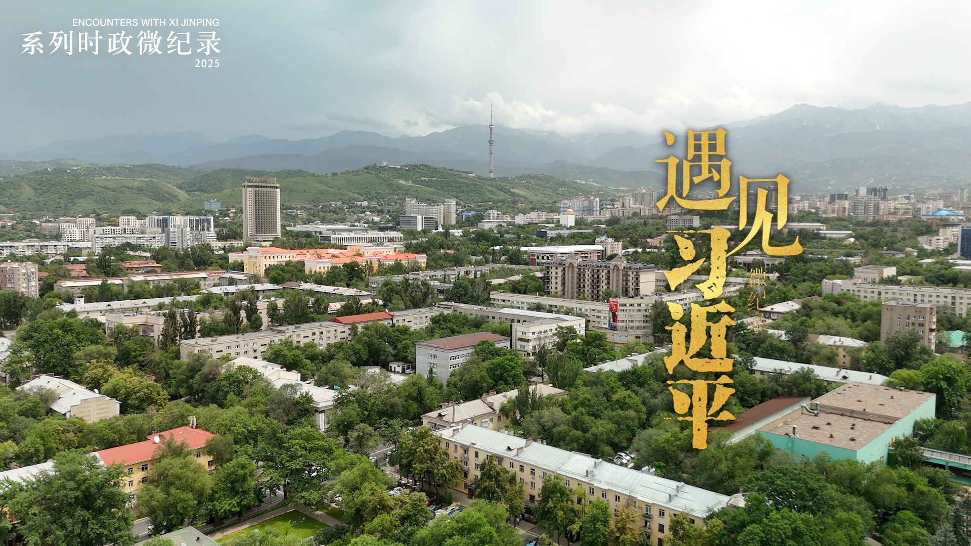 点击查看完整视频