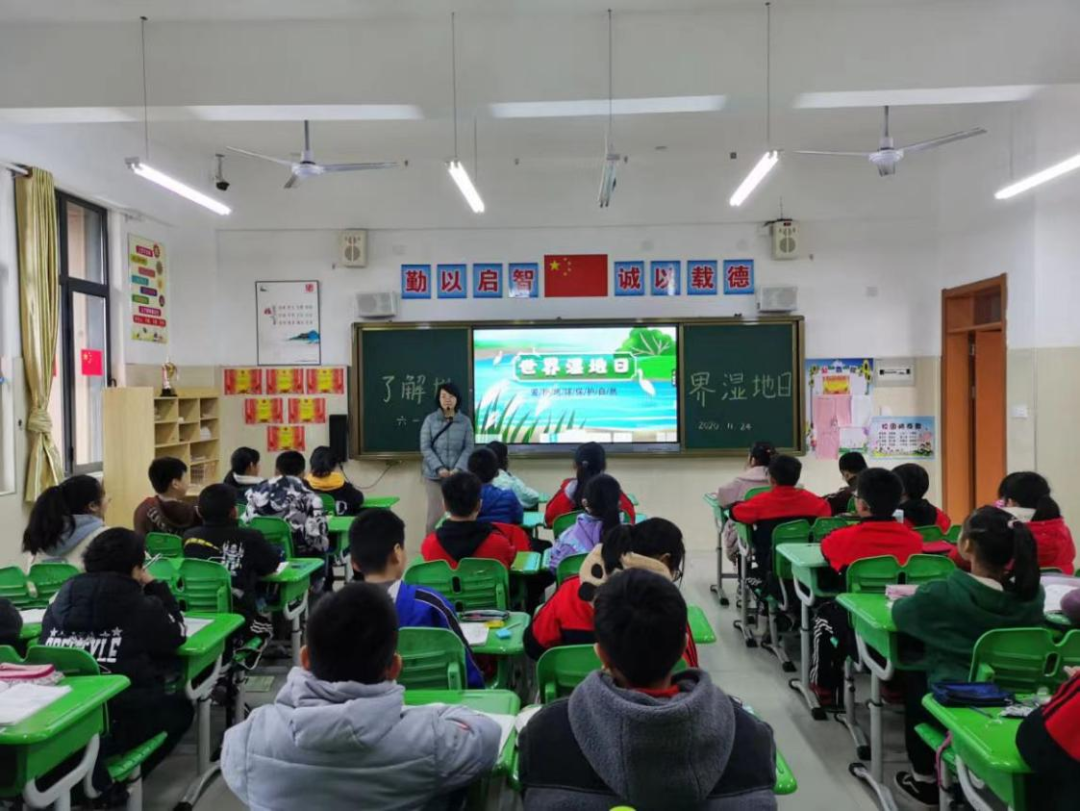 图片 7.png