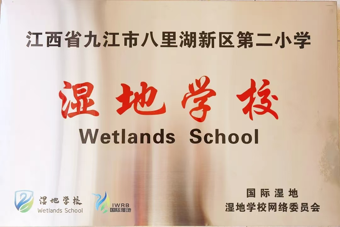 图片 9.png