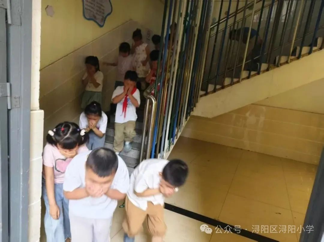 微信图片_2025-06-18_155519_998.jpg