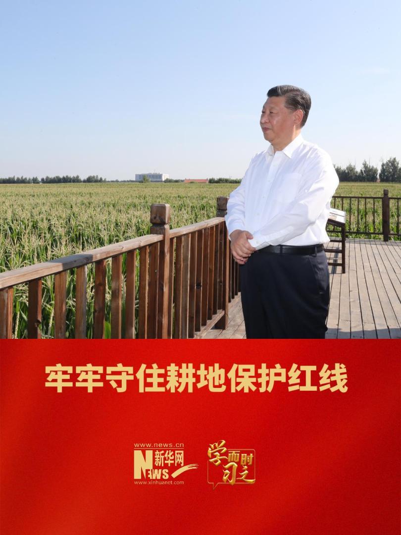点击查看完整视频