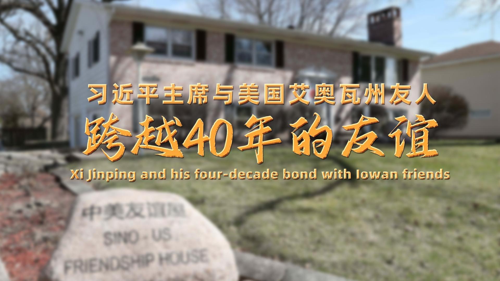 点击查看完整视频