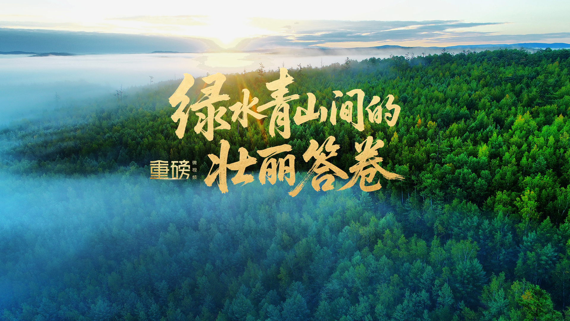点击查看完整视频