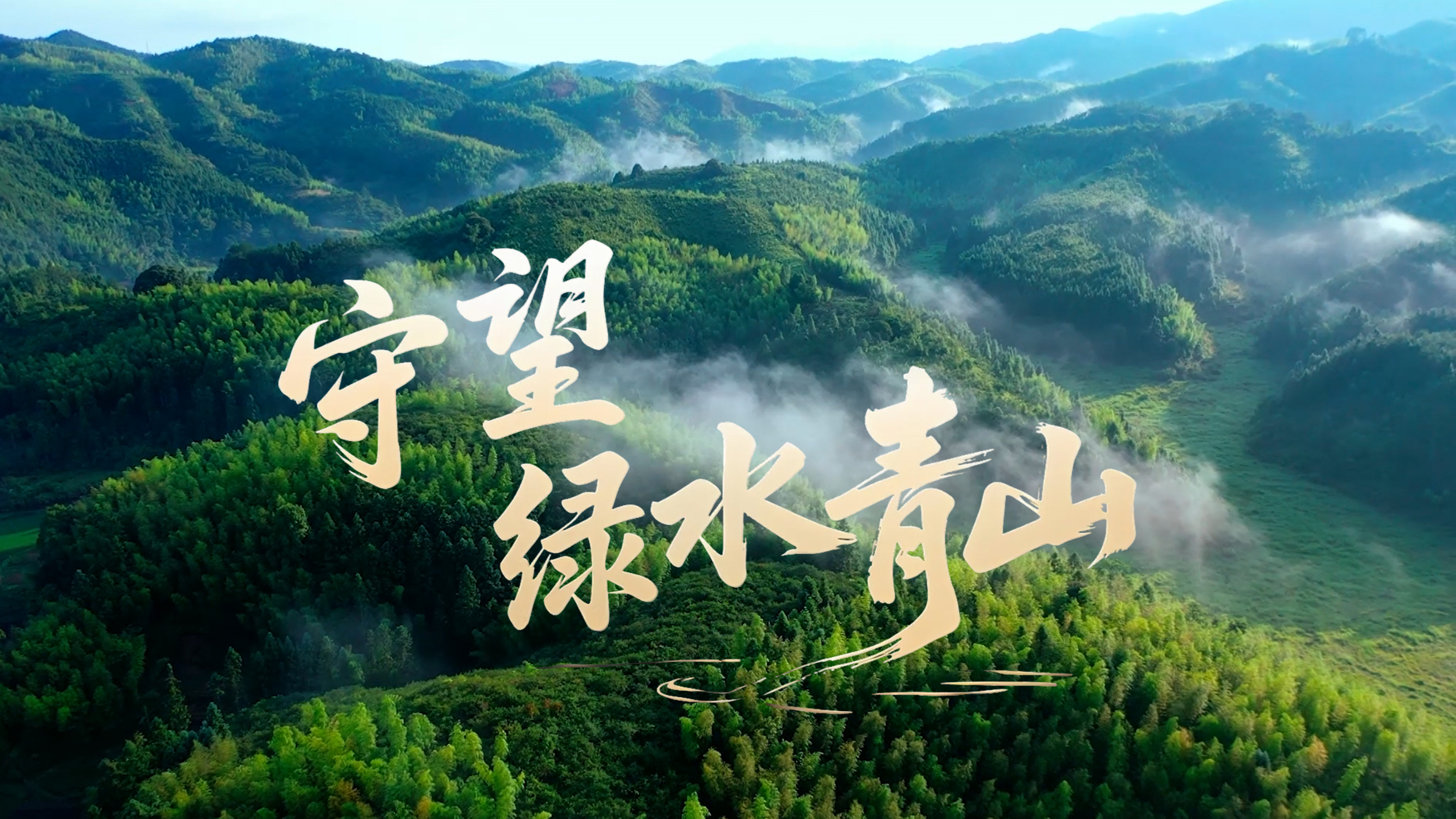 点击查看完整视频