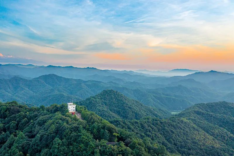 航拍金盆山林场,绿意盎然。邱国伟摄