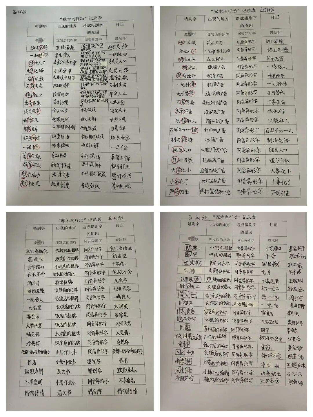 啄木鸟.jpg