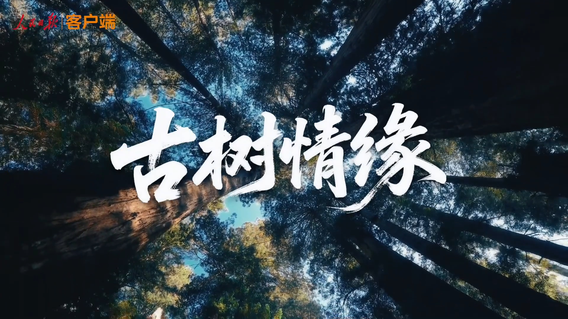 点击查看完整视频