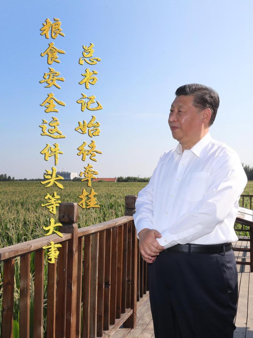 点击查看完整视频