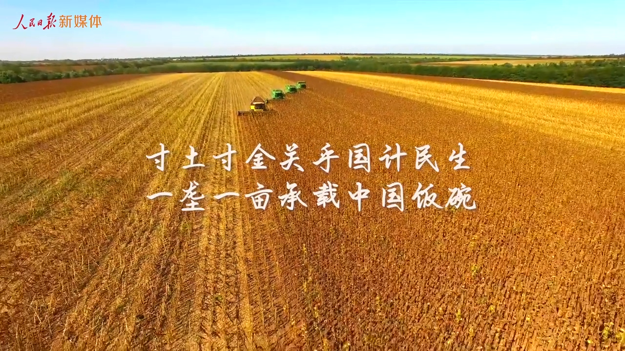 点击查看完整视频