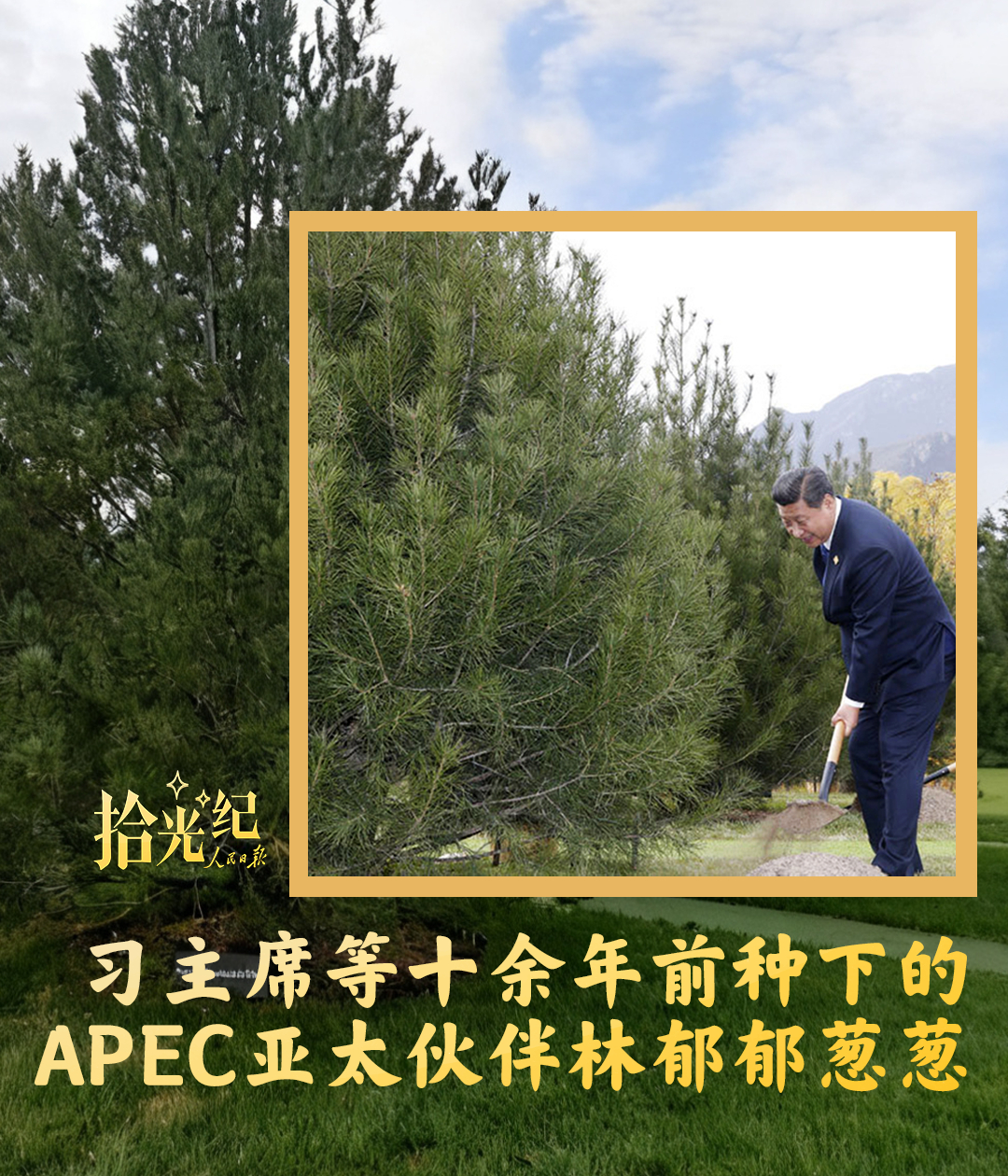 点击查看完整视频