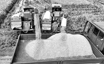 科技赋能,守护大国粮仓