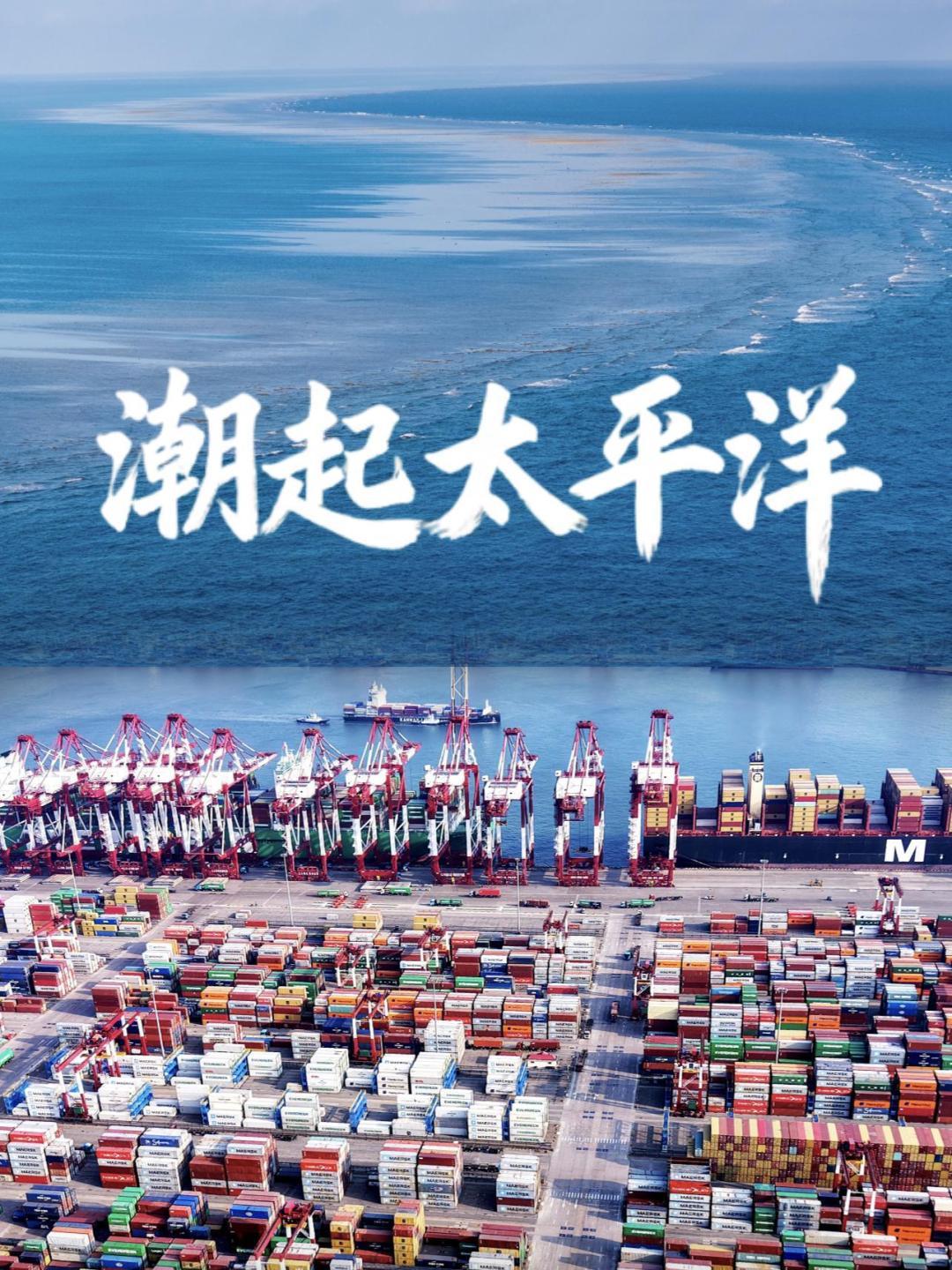 点击查看完整视频