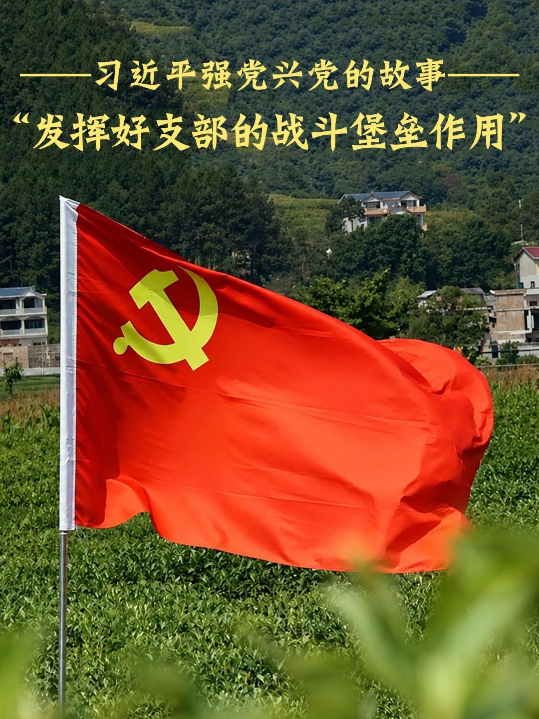 点击查看完整视频