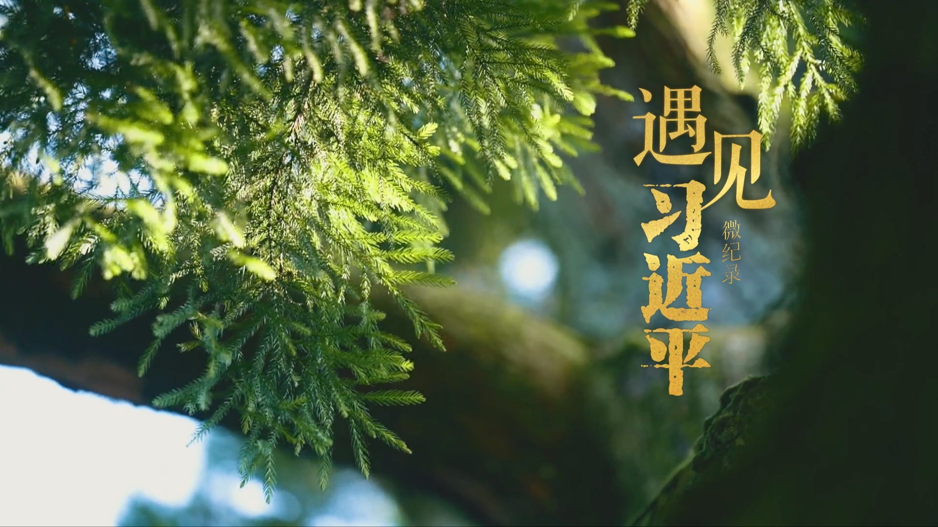 点击查看完整视频