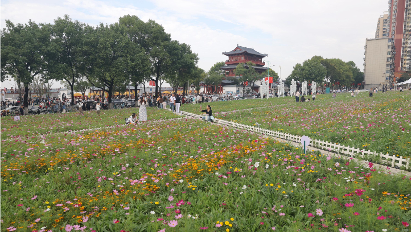 赏花海、看演出 “老景区”出新体验