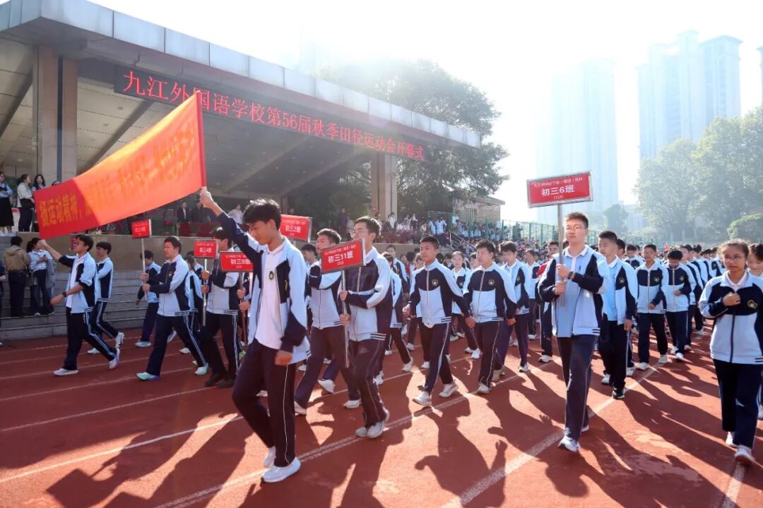 13.JPG
