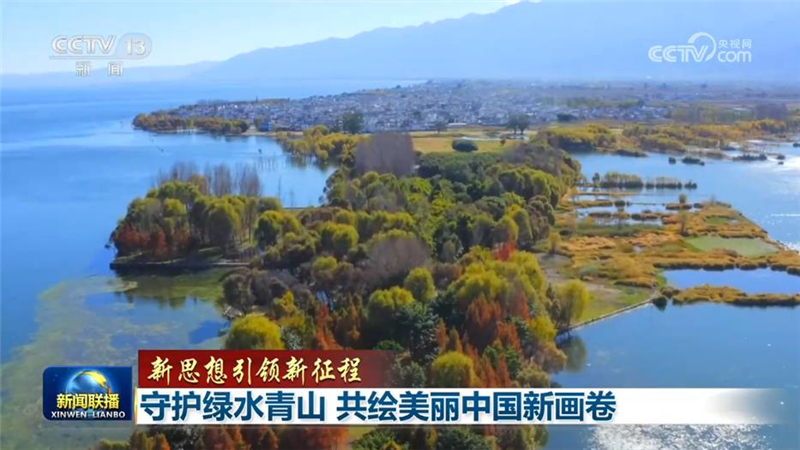 点击查看完整视频